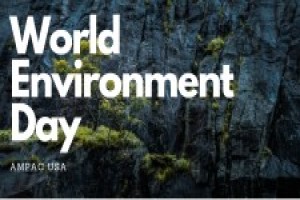 AMPAC USA Reiterates the Need to Save Water on World Environment Day latest press release