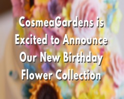 CosmeaGardens is Excited to Announce Our New Birthday Flower Collection