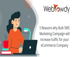 5 Reasons why Bulk SMS Marketing Campaign will increase traffic for your eCommerce Company