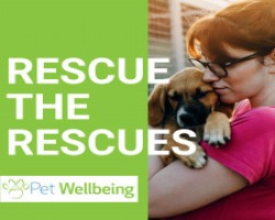Pet Wellbeing Seeks Crowdsourced Nominees for Pet Rescue Donation Drive