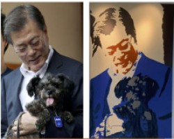 Victory for the World Dog Alliance: South Korea Takes Steps to Outlaw Dog Meat