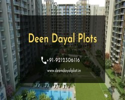 Deen Dayal Plots Gurgaon - A Real Estate Hub