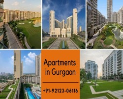 Gurgaon profitable investment ready to move apartments